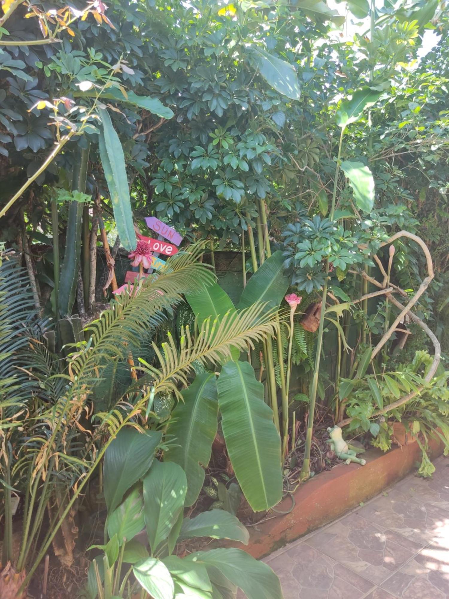 Recanto Toca Das Plantas De Ilhabela I 客房 照片